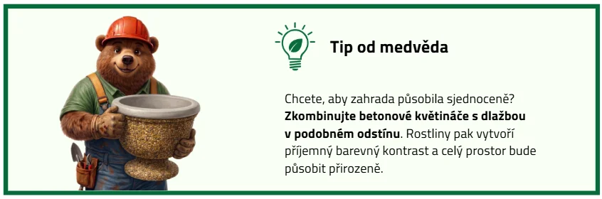 Tip od medvěda 